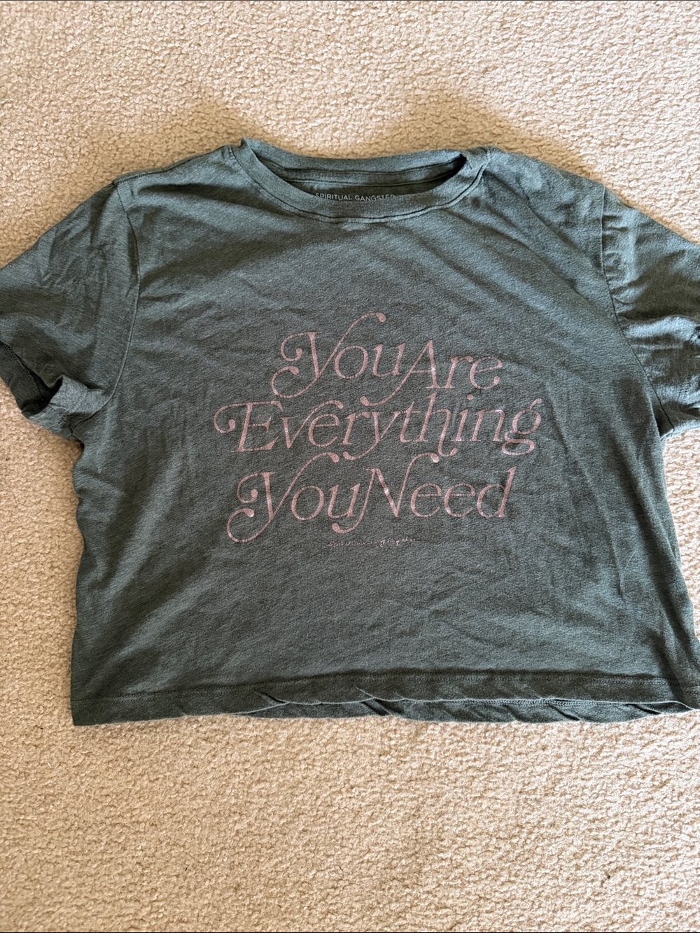 Spiritual Gangster “ You are everything you need” crop t